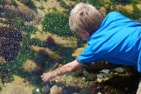 Mount Desert Island 