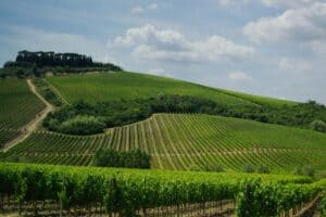 A Beginner’s Guide to Wine Tasting in Italy
