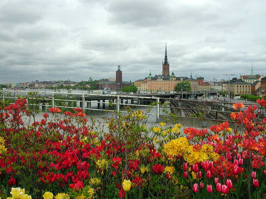 view of stockholm and its bridges resized