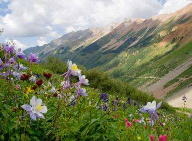 Colorado mountain towns are beautiful in summer.