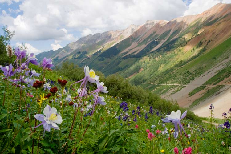 Colorado mountain towns are beautiful in summer.