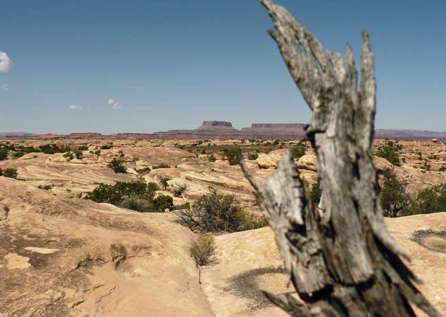 Canyonlands National Park. Flickr/Jirka Matousek 