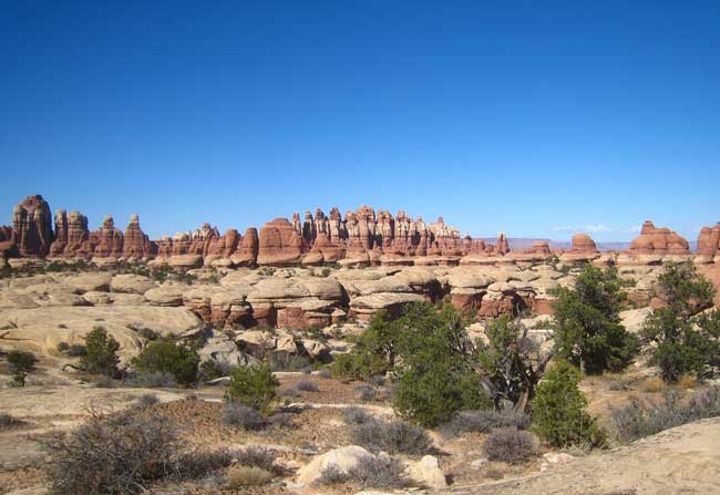 Needles District in Canyonlands National Park. Flickr/Chris M Morris