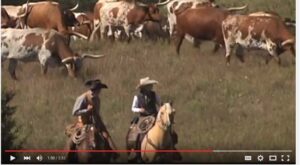 Video: Cattle Towns and Cowboys, Kansas and The Old West