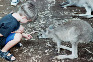 Family Travel in in Sydney