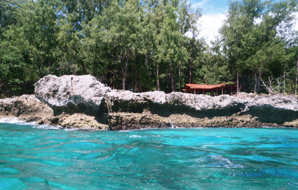 In "A Beginner's Guide to Paradise," the author built a home in Palau with the help of friends. Photo courtesy Alex Sheshunoff