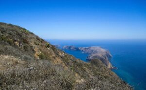 Ask the Locals: The Channel Islands of California