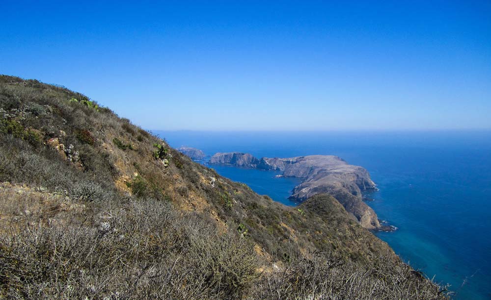 The Channel Islands in California. Flickr/ Island Conservation