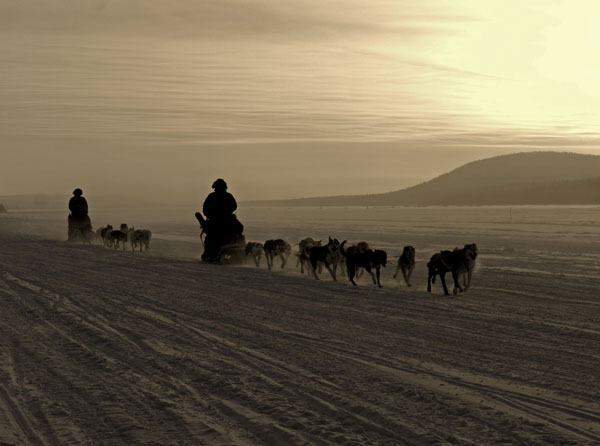 Dog sledding in Lapland. Photo by Markus Alatalo, icehotel.com