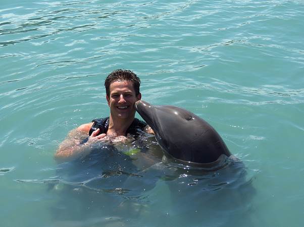 Swimming with Dolphins