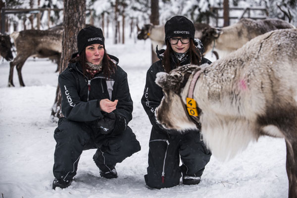 Meeting the reindeer. Photo by Markus Alatalo, icehotel.com