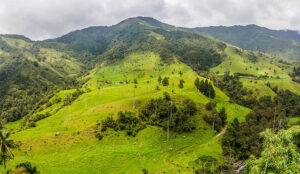 Travel in Salento Columbia