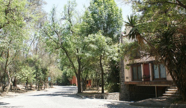 San Angel is a peaceful place to enjoy your day.