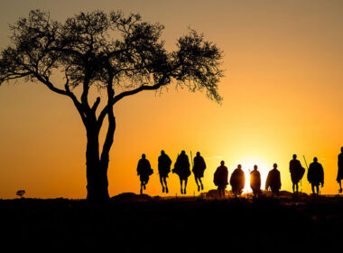 Safari in Kenya: Travel to Kenya