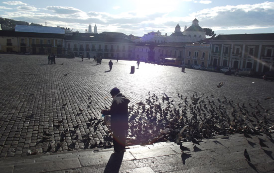 Travel in Ecuador: A morning scene in Plaza San Francisco, Quito, Ecuador. Photo by Irene Middleman Thomas