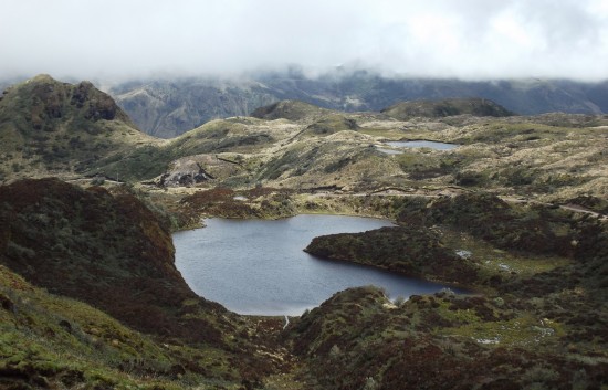 The Ecuadorean highlands are misty, mysterious and magnificent. Photo by Irene Middleman Thomas