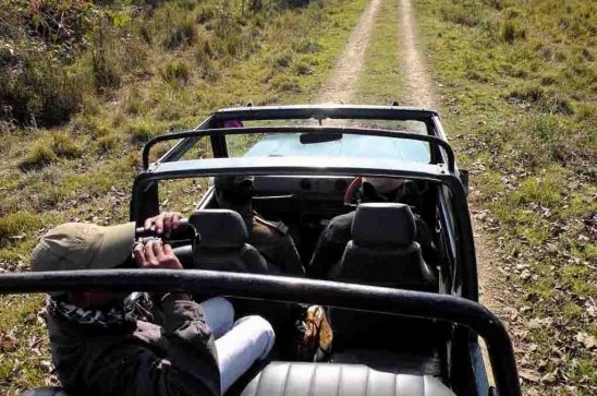 Travel by jeep while on safari in India. 