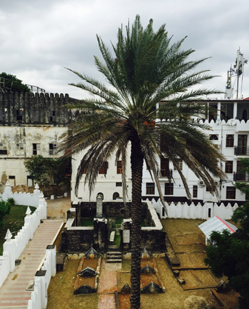 Stone Town in Zanzibar. Photo by Sherrill Bodine