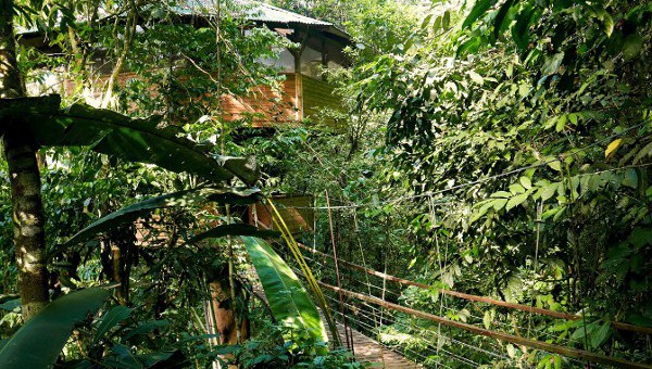 Overnight stay in a tree house - The tree houses blend almost imperceptibly with nature. Photo by Kelvin L. Woelk