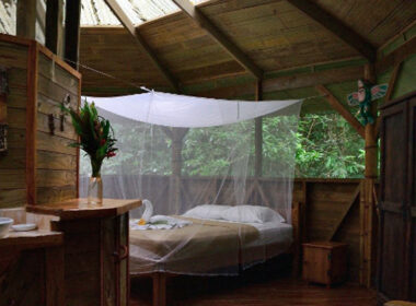 Stay in a treehouse in costa rica