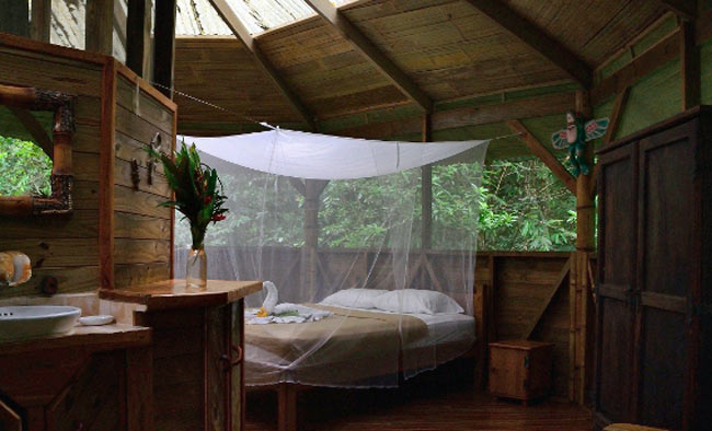 Stay in a treehouse in costa rica