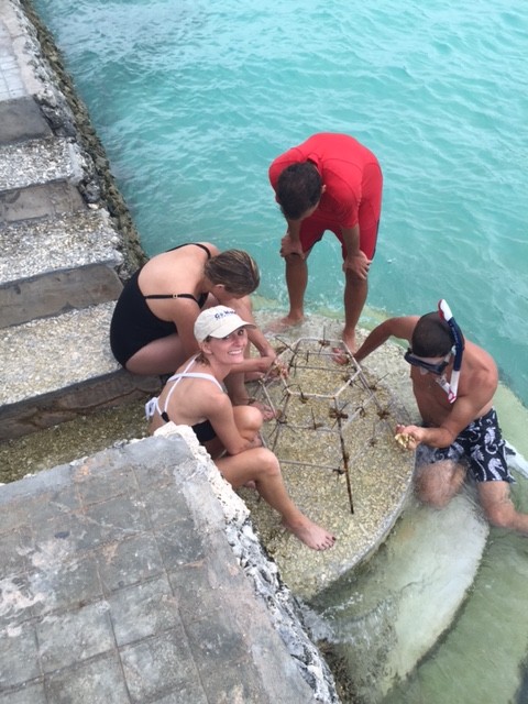 Dr. Andrew Bruckner shows us how to carefully attach damaged pieces of living coral to a wire frame. Photo by Ayesha Barker