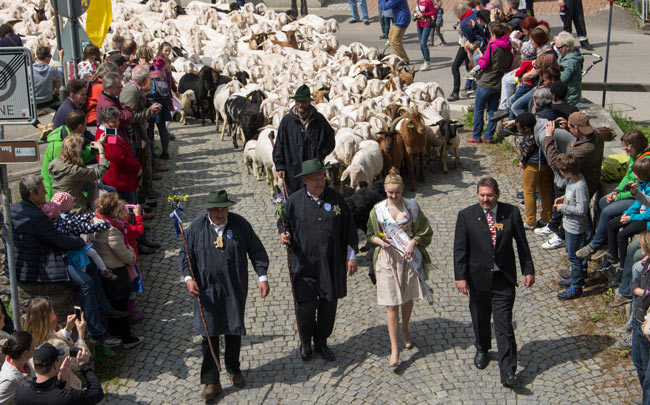 The town mayor and Lamb Queen lead the process through town. Photo by Janna Graber