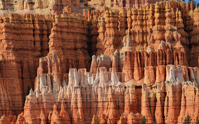 Bryce Canyon. 