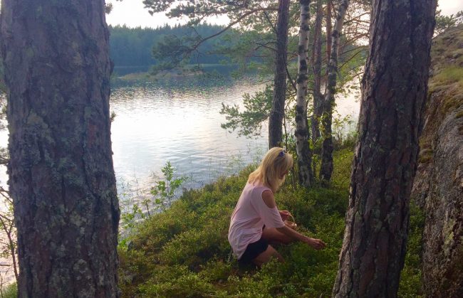 The author hunting for blueberries on one of the 14,000 islands in Lake Saimaa, Finland. Photo courtesy Janna Graber