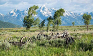 Teton Mountain Range Photo by Jackson Hole Mountain Resort