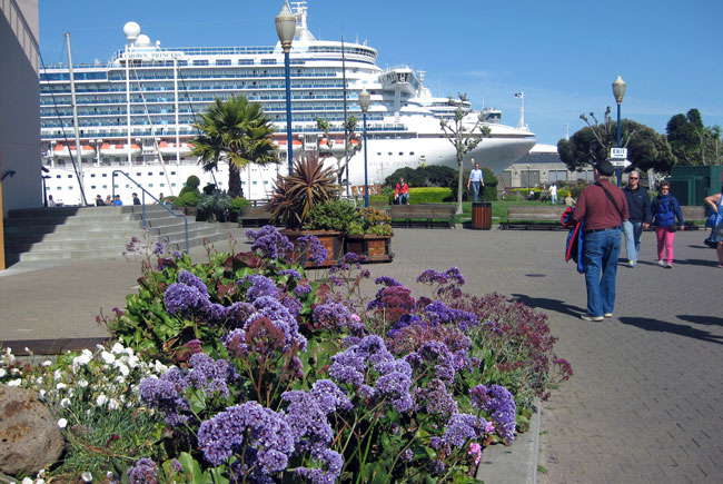 In San Francisco, the Crown Princess docked within walking distance of Pier 39, the Aquarium of the Bay, as well as Fisherman’s Wharf tour operators, attractions and delightful aromas. Photo by Pat Woods