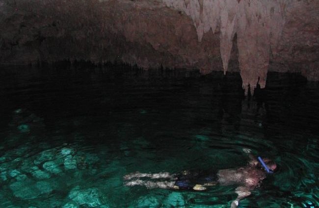 Snorkeling in a cenote. Photo by Janna Graber
