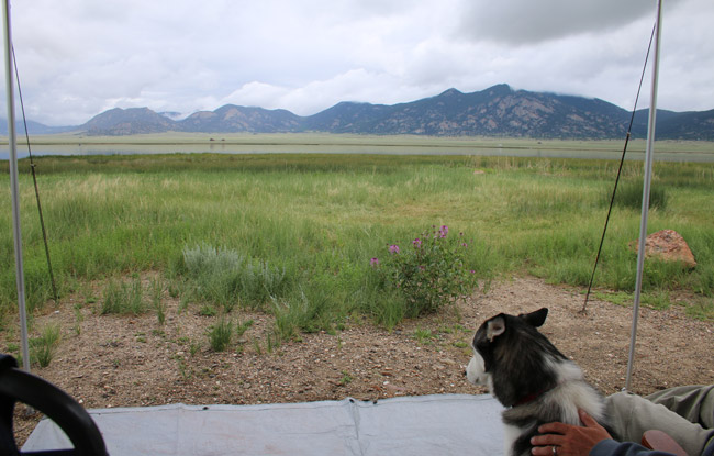 At 7,662 acres, Eleven Mile has eight drive-up campgrounds and one walk-in and all have water views. Photo by Carrie Dow