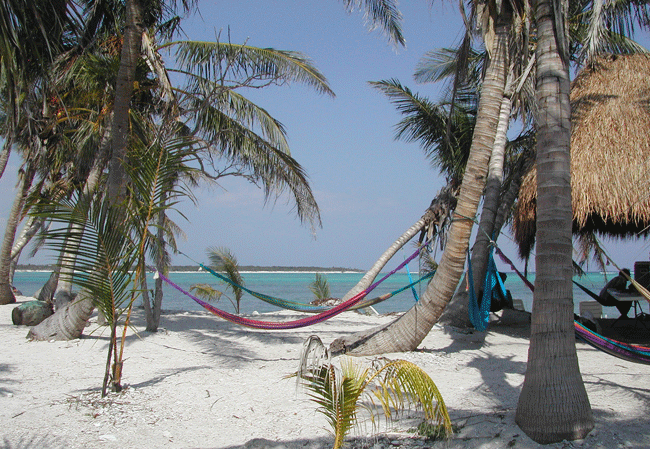 It's another sunny day at the beach near Playa del Carmen. Photo by Janna Graber