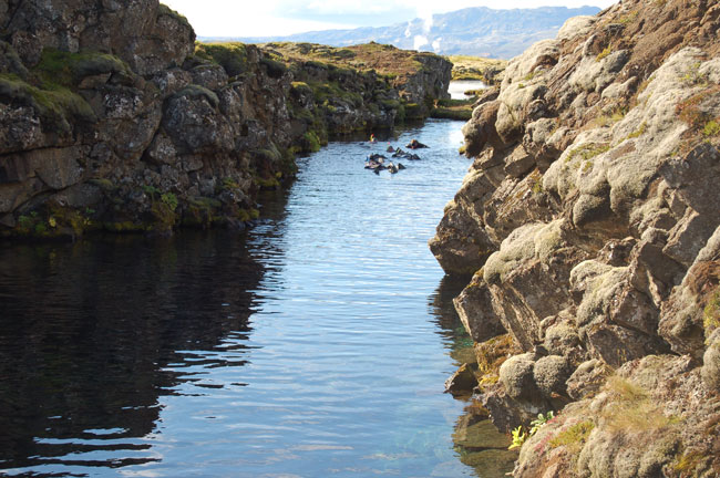 Iceland Golden Circle: Snorkelers dive between the tectonic plates at Pingvellir. Photo by Kayla Lewkowicz 