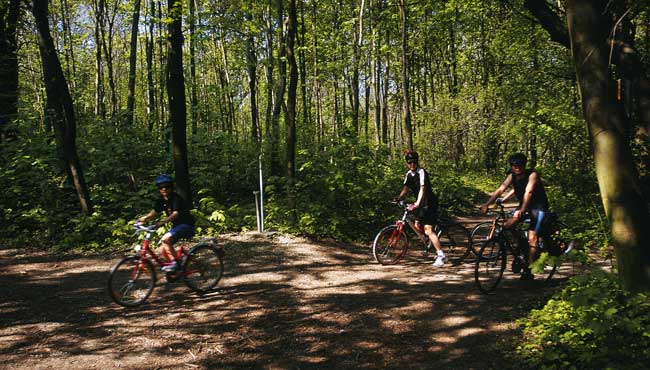 Cycling in the Vienna Woods. ©WienTourismus / Popp & Hackner