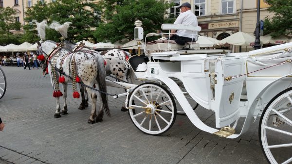 A horse drawn carriage. Photo by Veronica Leigh