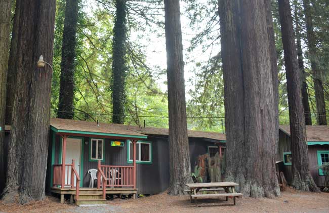 Emerald Forest Cabins and RV, Trinidad, California. Photo by Jim Pond