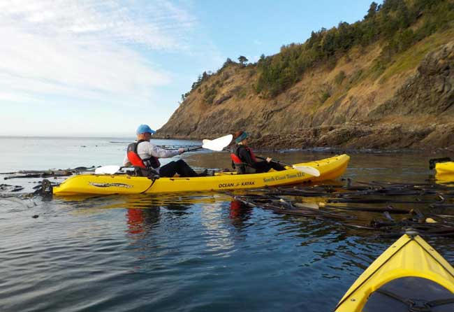 The author and her husband kayaking in Port Orford. Photo by South Coast Tours, LLC