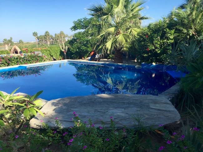 Pool at Baja Beach Oasis, photo by Claudia Carbone