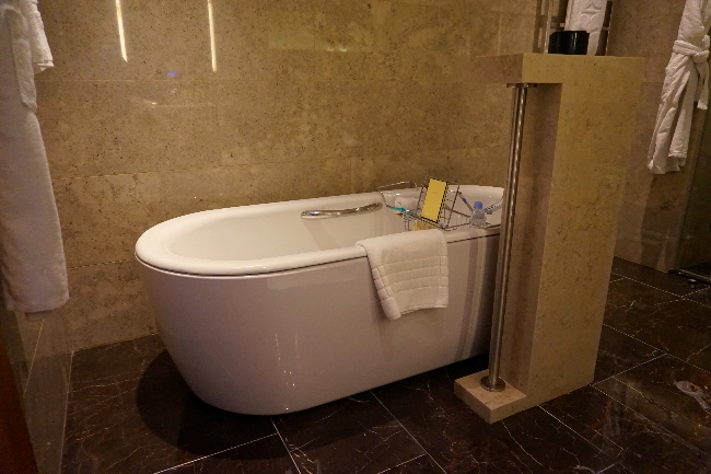 Bathtub in luxury hotel room