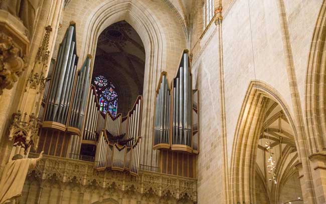 The organ in the Ulm Minster has more than 9,000 tube pipes. Photo by Janna Graber