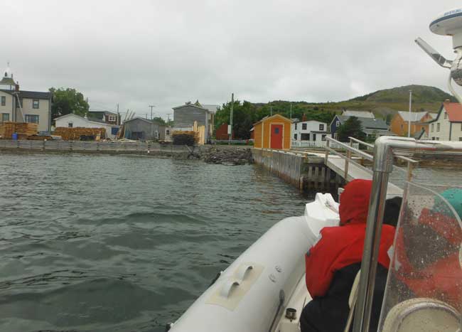 Heading out to go whale watching in Trinity, Newfoundland. Photo by Pamela Hunt