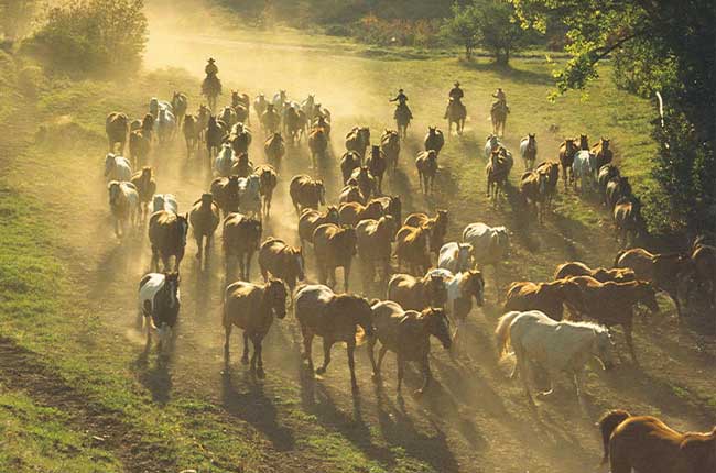 Eaton's Ranch. Photo courtesy Eaton's Ranch