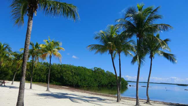 The Florida Keys are home to John Pennecamp State Park.