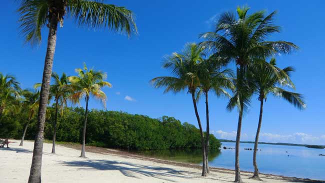 The Florida Keys are home to John Pennecamp State Park. 