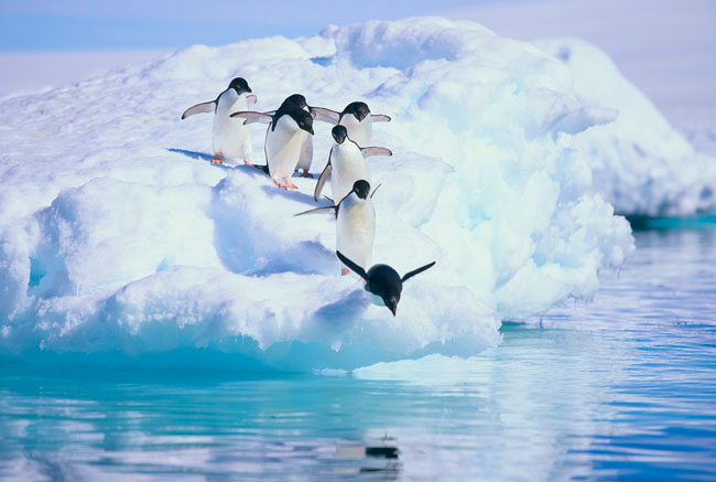 Travel in Antarctica