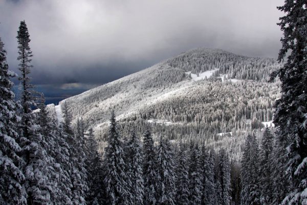 Snowy day at Ski Santa Fe. Photo by Dino Vournas