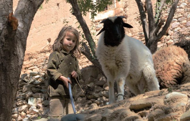 A girl tending sheep in Morocco. Flickr/ Evan Chu