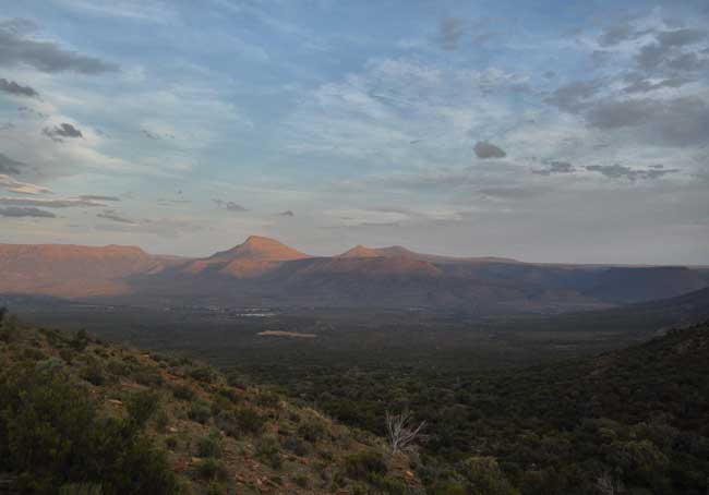 On safari in the region of South Africa known as the Great Karoo. Photo by Imogene Robinson